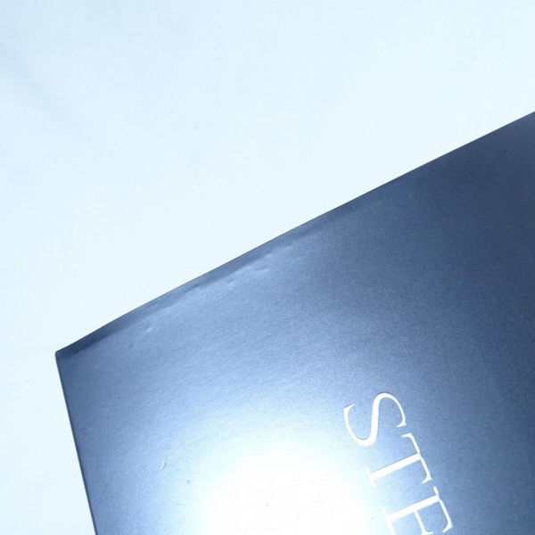 22ステラ C3000SDHHG